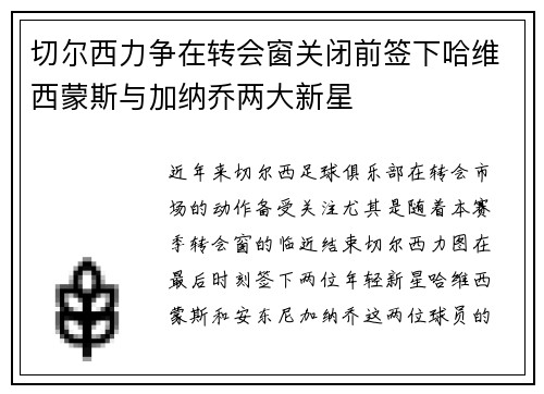 切尔西力争在转会窗关闭前签下哈维西蒙斯与加纳乔两大新星
